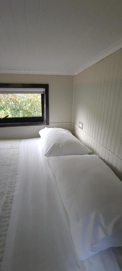 Cabanas Alto Bosque Pucon Bagian luar foto